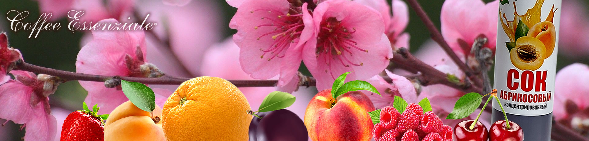  Coffee Essenziale